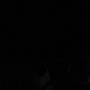 Meet your Posher, Trent